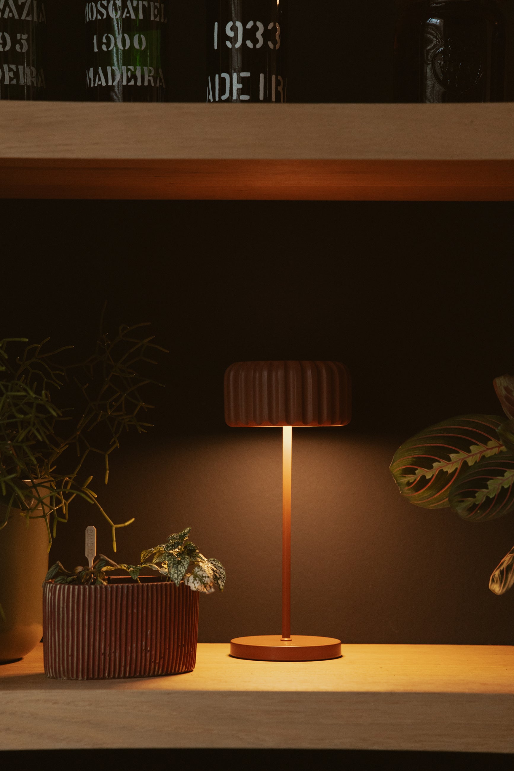 Dentelles Bistro recharge TERRA | 29,5 cm x Ø 12,8 cm