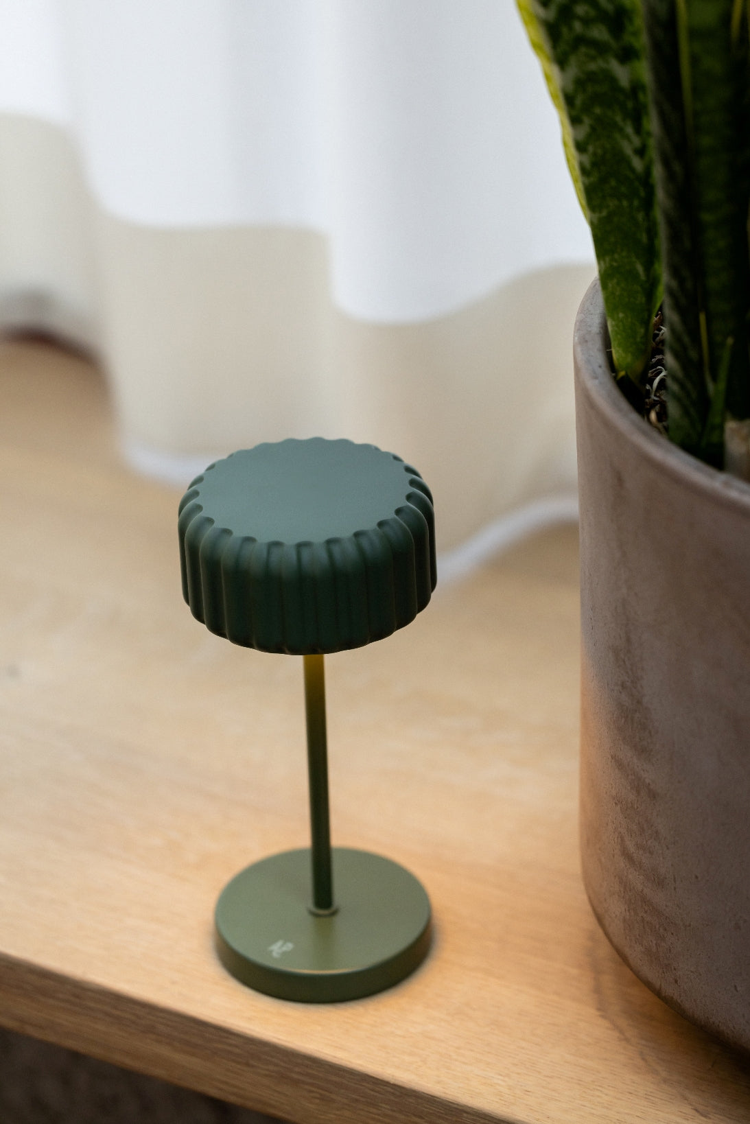 Dentelles Mini Bistro recharge Olive | 20  cm x Ø 9,5 cm