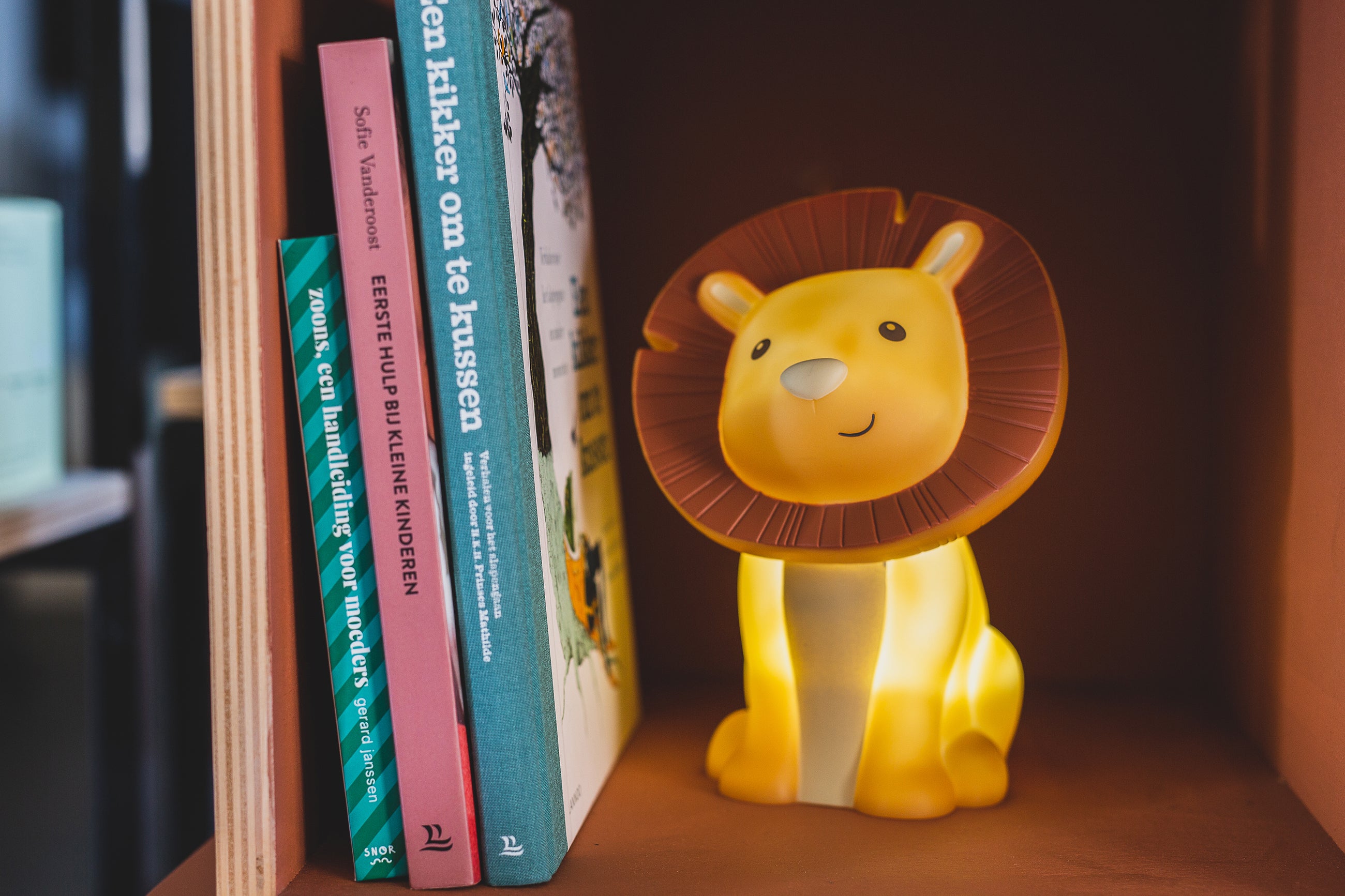 Hakuna Leeuw LED LICHTJE, USB recharge | H 20 x Ø 13,6 cm