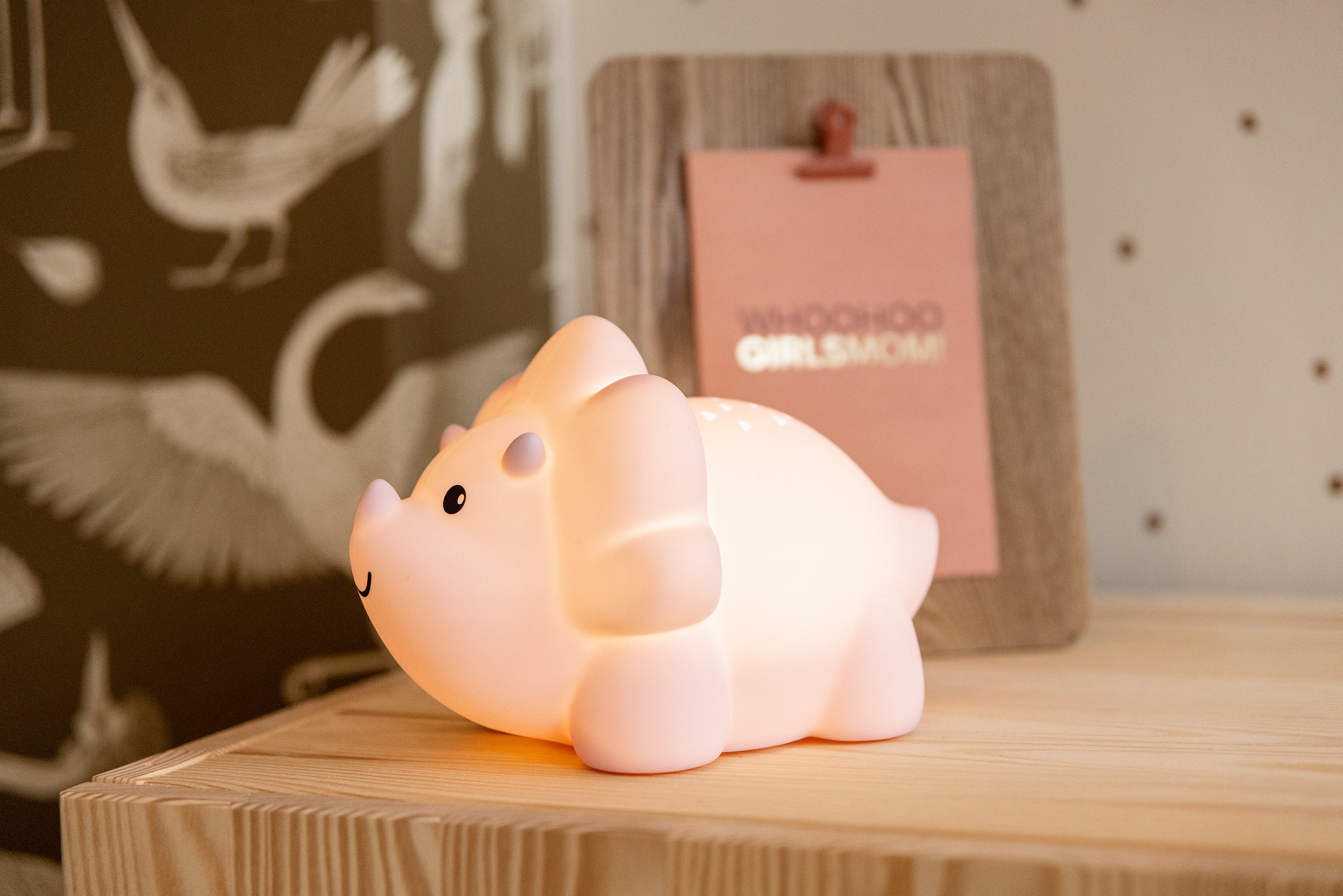 Juliette Dino FUZZY ROZE LED PROJECTOR, USB recharge | H13,6 x 21 x 14,8 cm