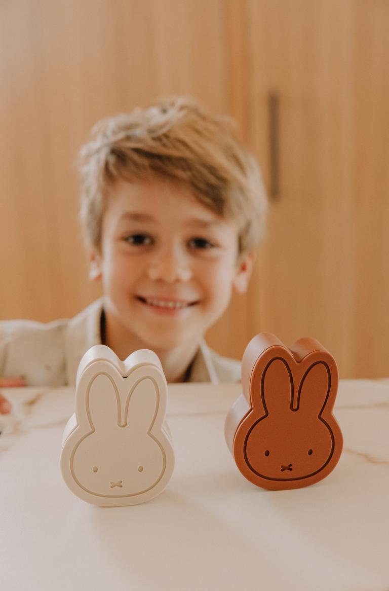 nijntje reis- & opbergdoosje