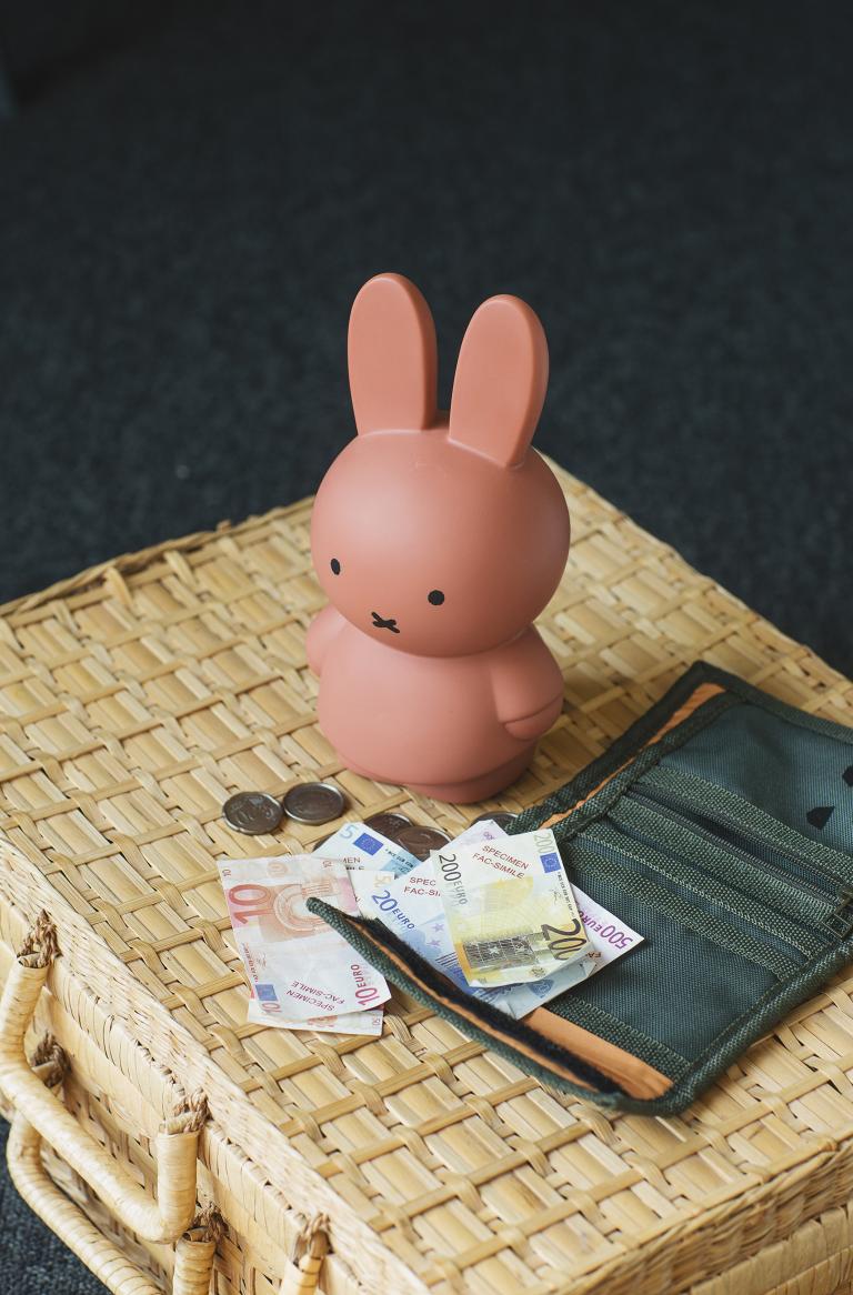 Nijntje warm | Spaarpot