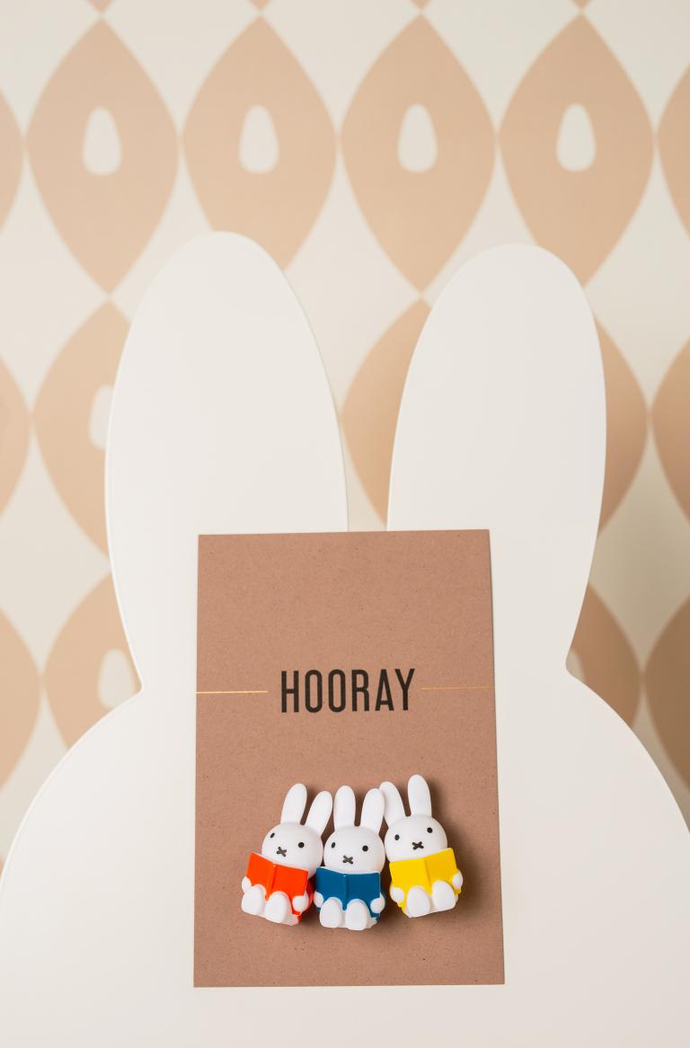 Nijntje leest | Magneten