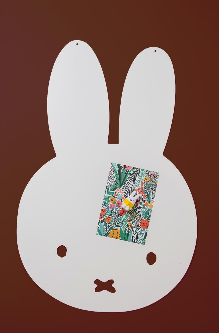 Nijntje leest | Magneten