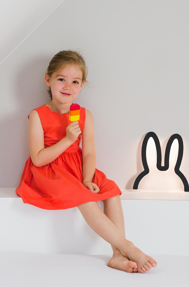 Miffy LED lumière Wall Art