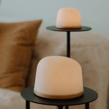 Fondant