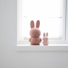 nijntje warm | Spaarpot 