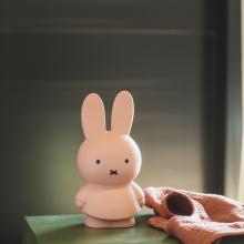 miffy warm money box