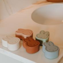 nijntje reis- & opbergdoosje