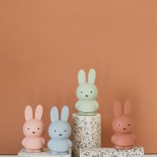 Nijntje warm | Spaarpot