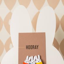 Nijntje leest | Magneten